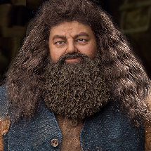 RUBEUS HAGRID 2.0